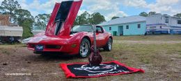 1981 corvette stroker lp corvette vin e03n023  