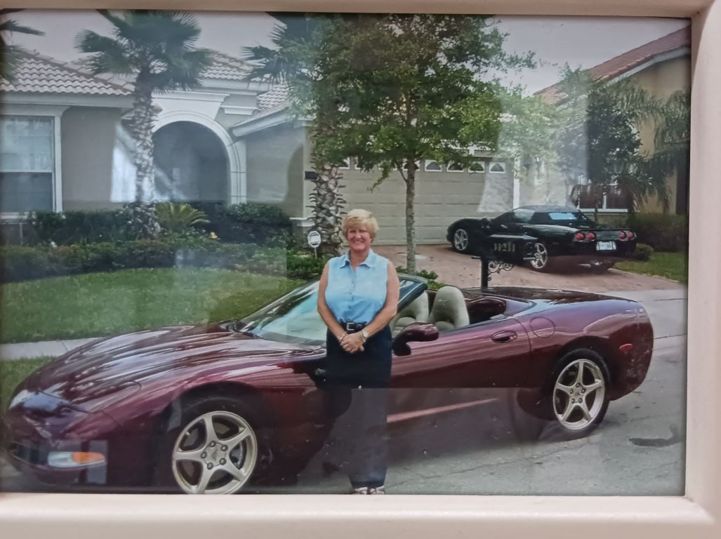 the 50th special lp corvette vin e03n023 corvette collectibles  